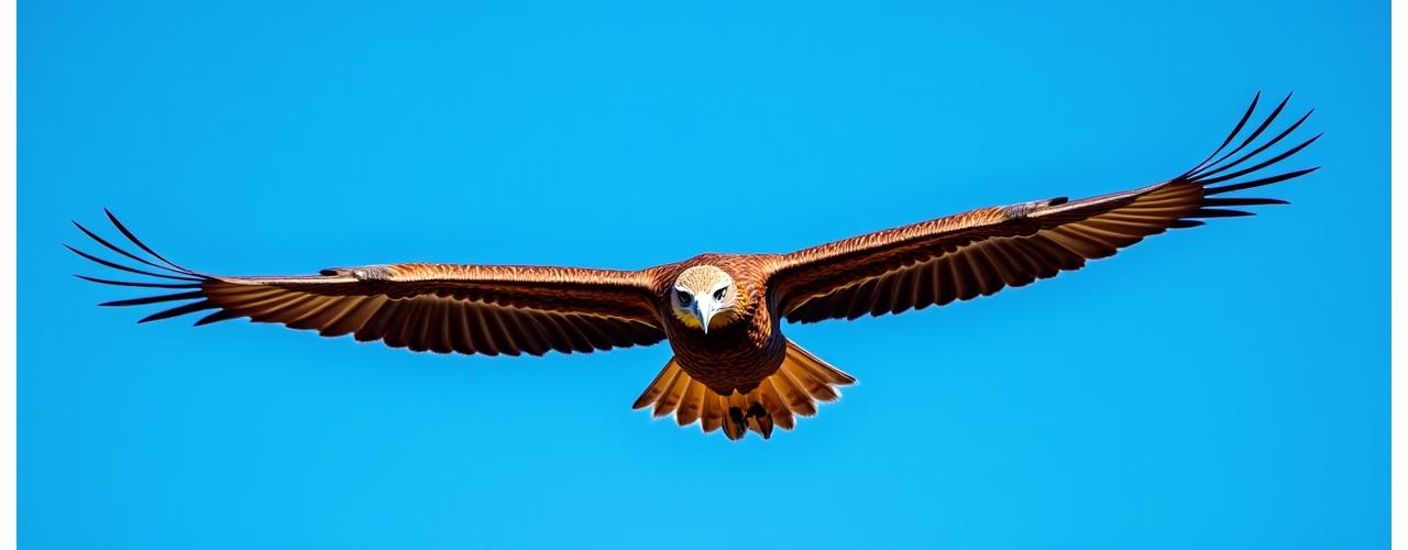 Stunning close-up of an eagle in flight against a clear blue sky, showing incredible feather detail
